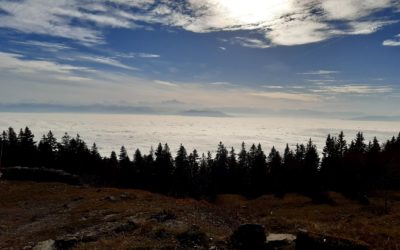 1er juillet 2023 – Randonnée dans le parc naturel du Jura vaudois