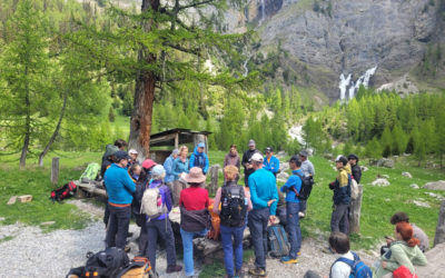 Sortie “Découverte-Nature” avec le Club Alpin de Montana